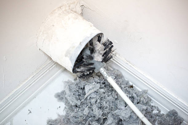 Best Mold and Mildew Removal from Ducts in Edmundson, MO